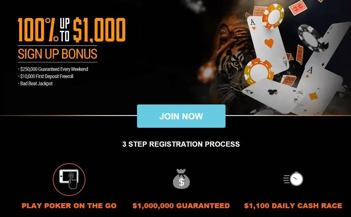 Melhor-Codigo-de-Bonus-Tigergaming-Poker-2023